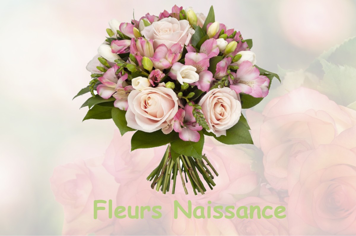 fleurs naissance BENQUE-DESSOUS-ET-DESSUS