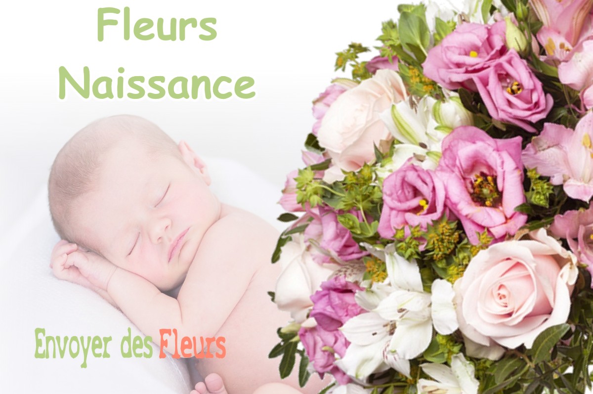 lIVRAISON FLEURS NAISSANCE à BENQUE-DESSOUS-ET-DESSUS