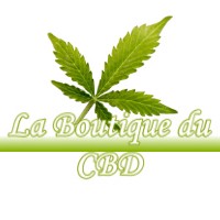 LA BOUTIQUE DU CBD BENQUE-DESSOUS-ET-DESSUS 